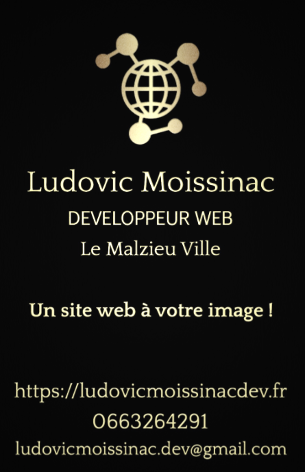 ludovic moissinac developpement